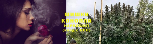 соль ск Елизово