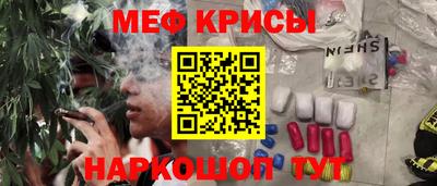 мет Кингисепп