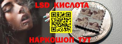 гидра Кимры