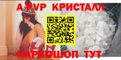 мет Кингисепп