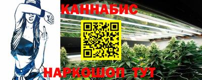 мет Кингисепп