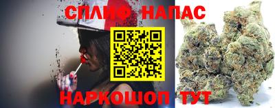 гидра Кимры