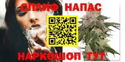 мет Кингисепп