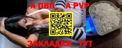 мет Кингисепп