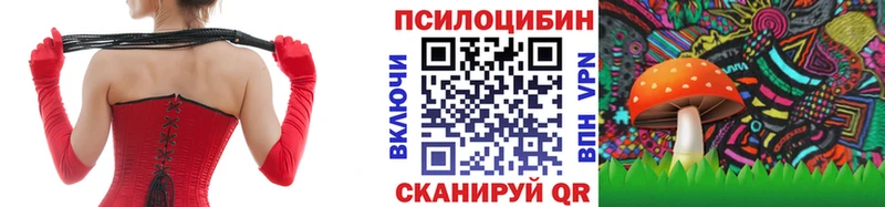 Галлюциногенные грибы Psilocybe  наркошоп  Карабулак 