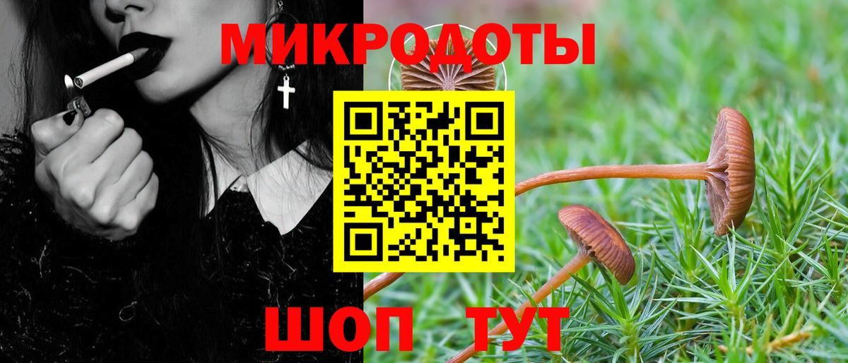 закладка  Вход с VPN  Карабулак  Галлюциногенные грибы мицелий 